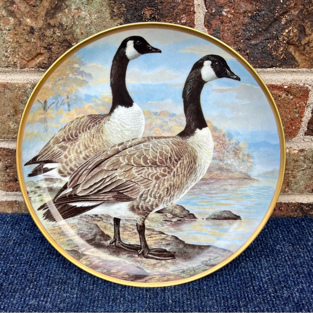 Water Birds Of The World Canada Goose Collector Plate 9” Franklin Porcelain 1981